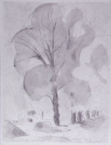 <em>Le Jardin des Méjades</em>, vers 1940-1943<br />
Crayon et rehauts de lavis gris sur papier<br />
32,5 x 25 cm<br />
Acquis en 1975 (inv. AM 1975-269)